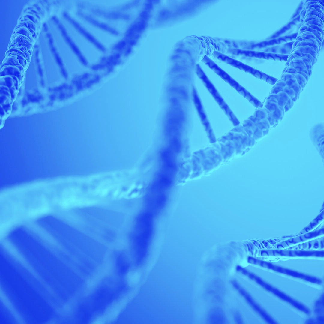 Cancer Research UK Manchester Centre | International Alliance for Cancer Early Detection (ACED) enters its next phase with two new partners